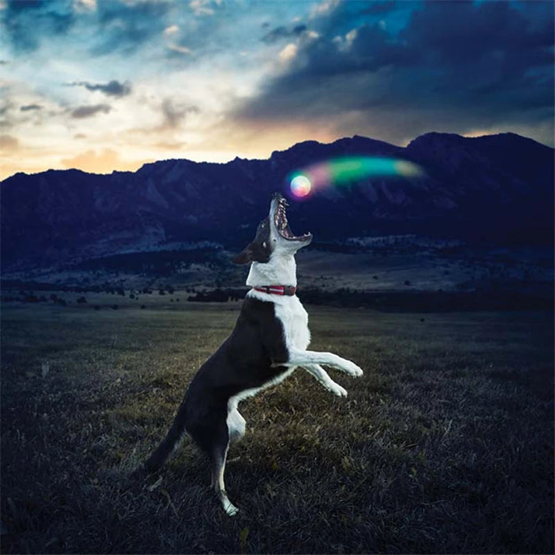 HTB1fJWOXorrK1RkSne1q6ArVVXan