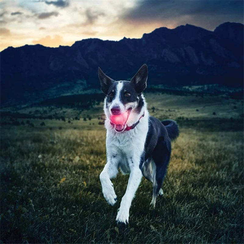 HTB1pVl3csbpK1RjSZFyq6x_qFXaY